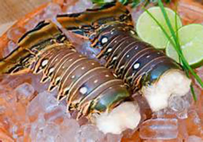 Lobster-Tail-Warm-Water400px