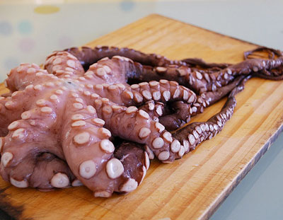 octopus400px