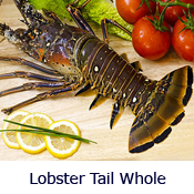 Lobster | Quality Seafood Distributors